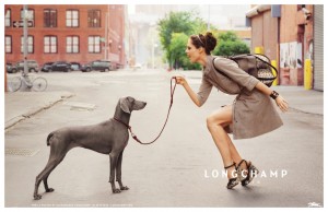 longchamp-dog-coco-roch